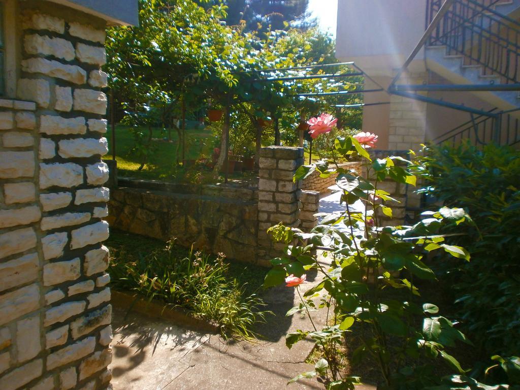 Apartments Villa Anton Poreč Rum bild
